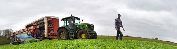 Farming