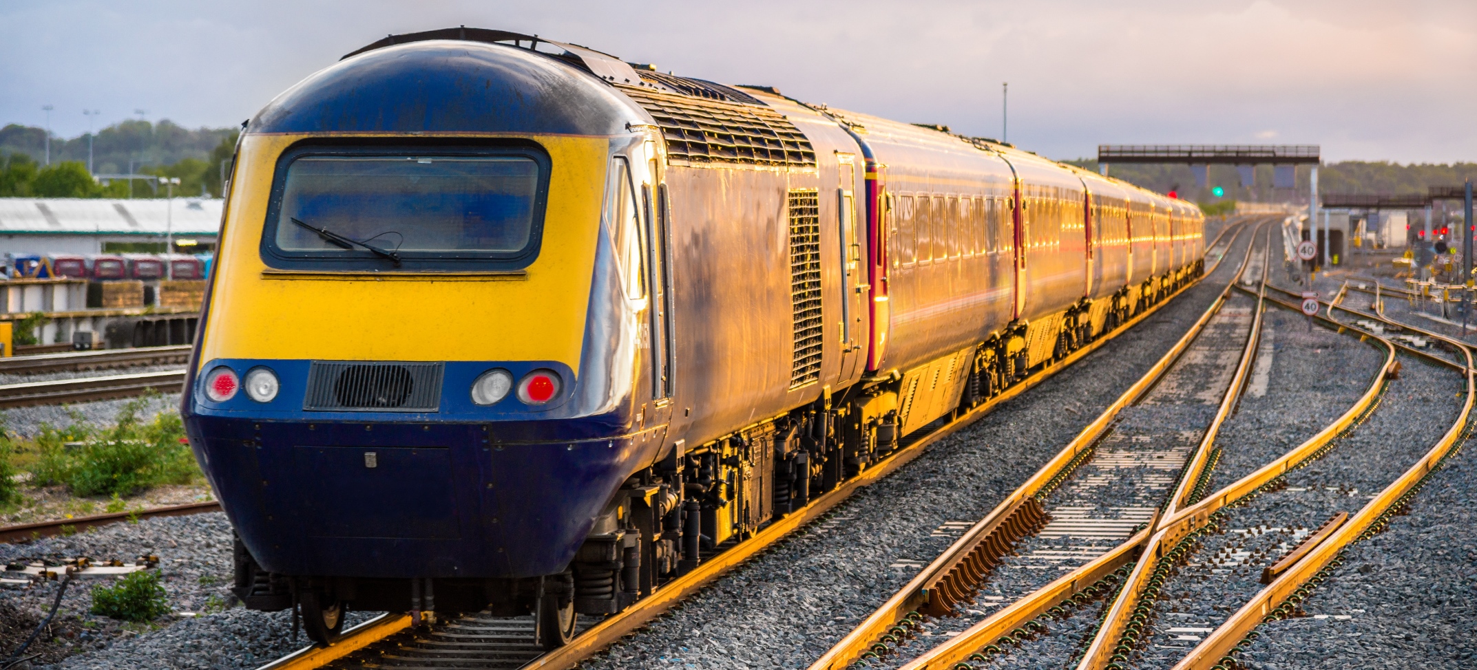 train