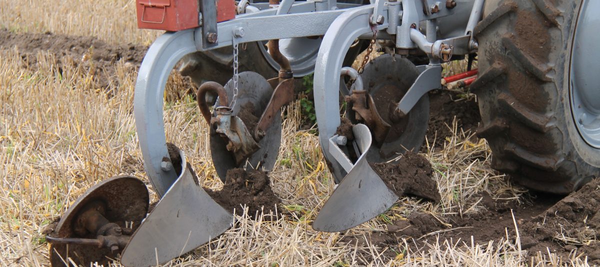 agriculture